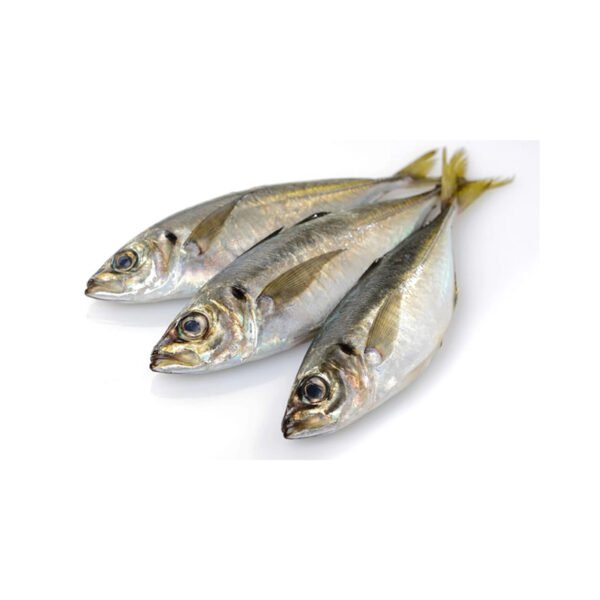 4 Horse mackerel