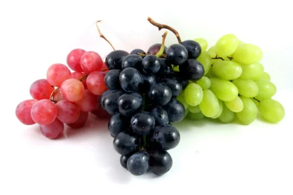 Download_29 Grape