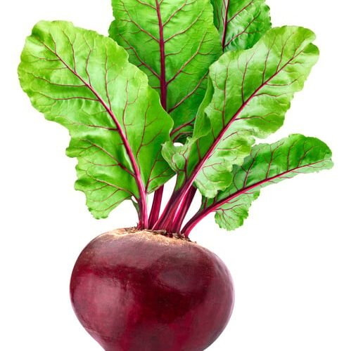 Beetroot